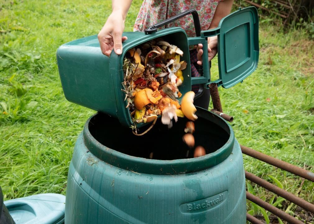 Compost scraps